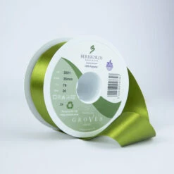 Berisfords Satin Ribbon, Moss